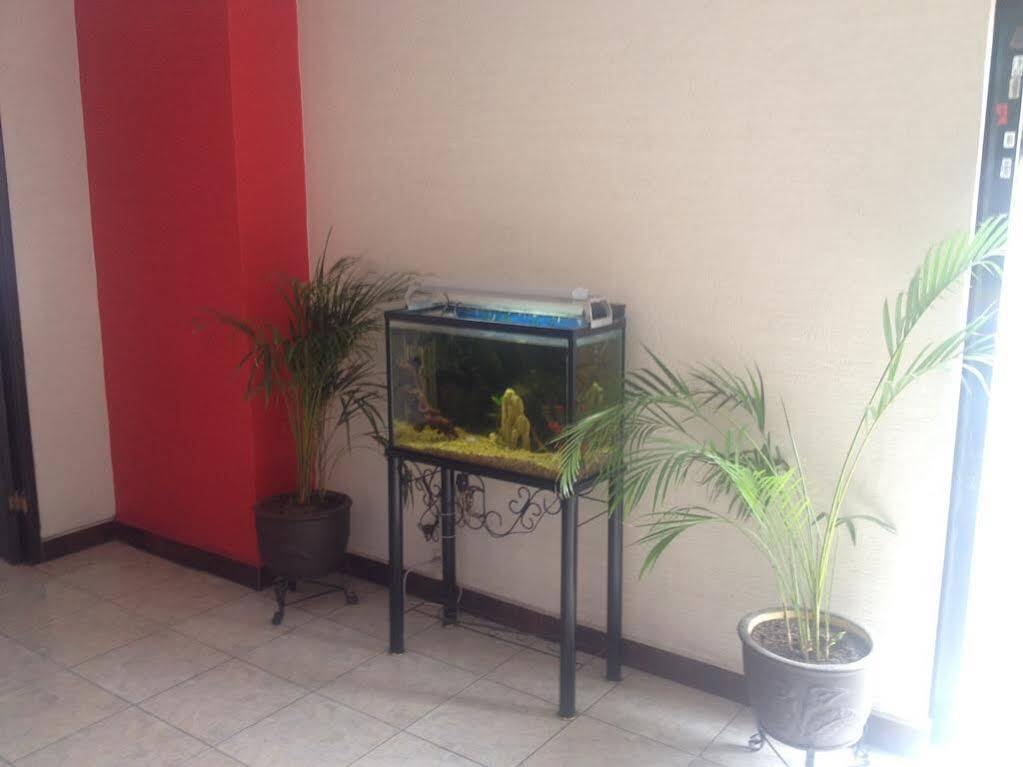 Hotel La Paz Guadalajara Kültér fotó